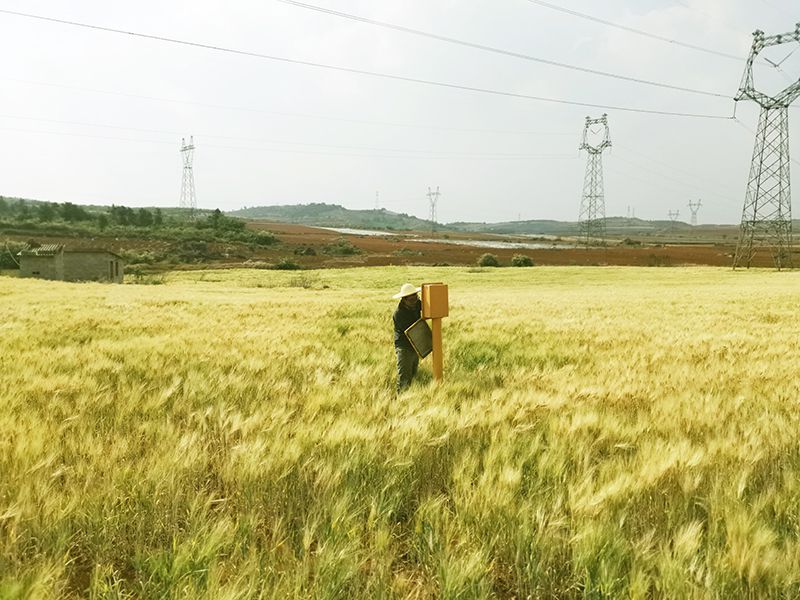 杂散电流评估与防护